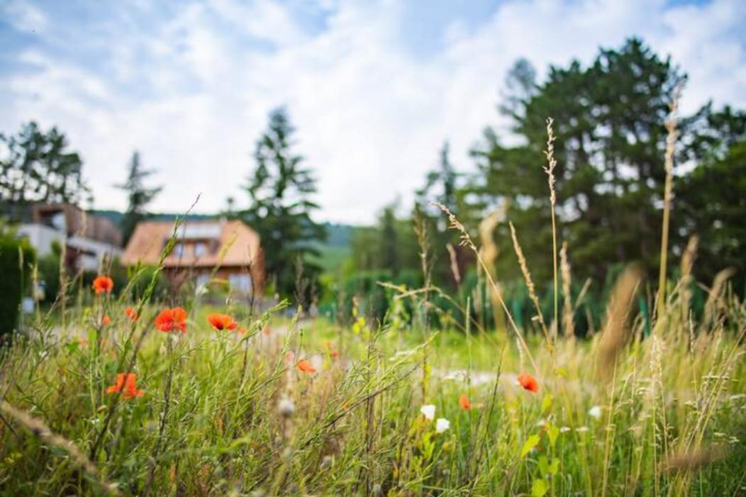 Le Holzberg Et Ses Suites Osenbach Экстерьер фото