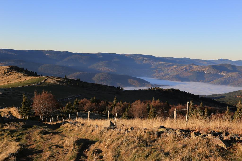 Le Holzberg Et Ses Suites Osenbach Экстерьер фото