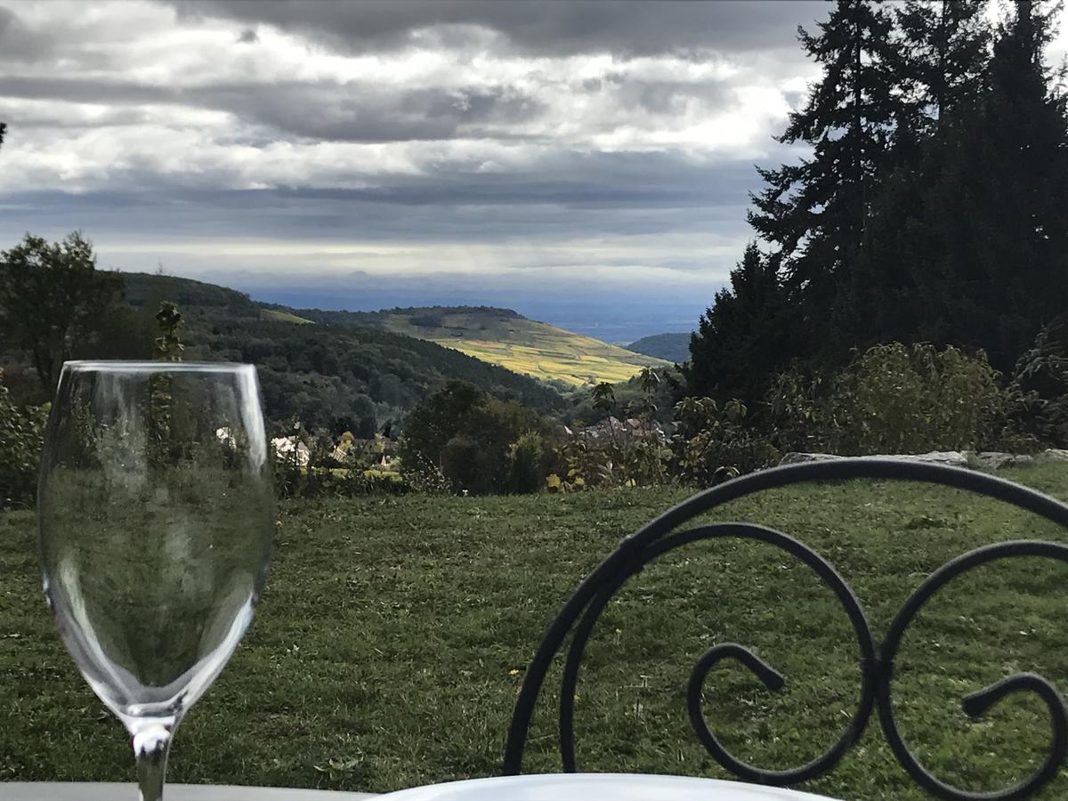 Le Holzberg Et Ses Suites Osenbach Экстерьер фото